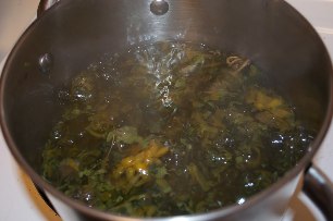 Herbal decoction to treat varicose veins
