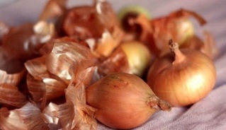 Onions treat varicose veins
