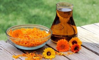 calendula to treat varicose veins